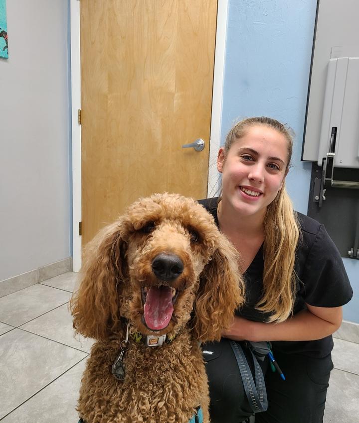 Veterinarians in Gainesville Gainesville FL Veterinarians